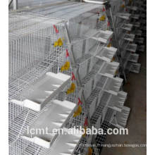 Spécialisé dans la production de cage d&#39;alimentation automatique de cage de caille.